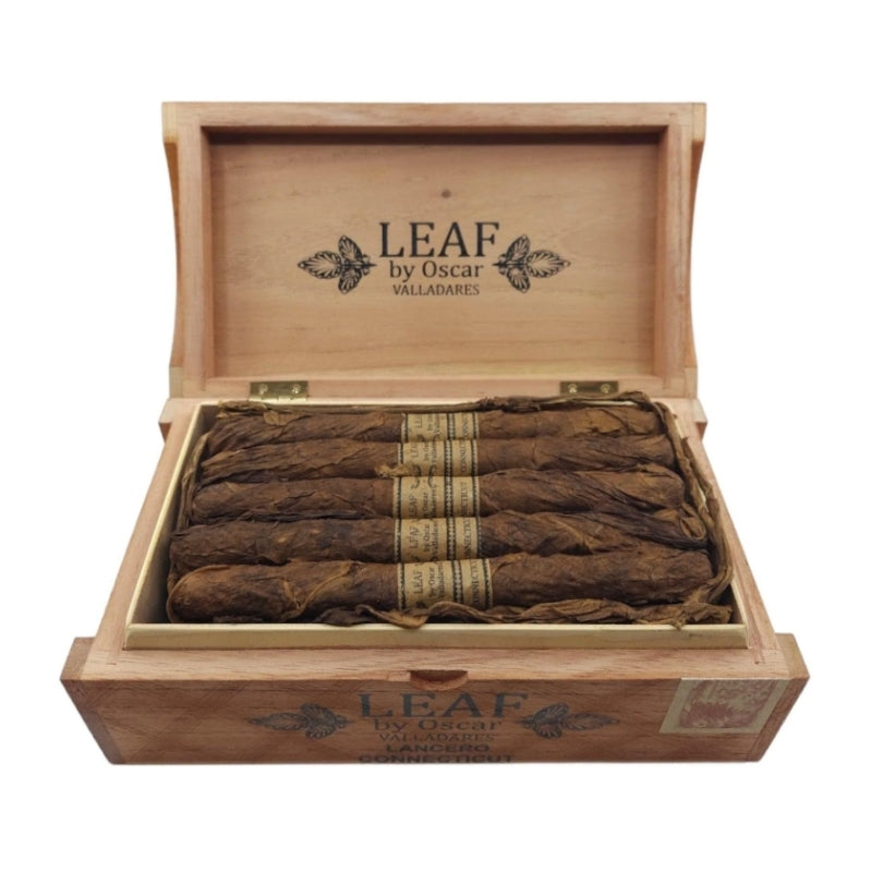 Leaf Connecticut Lancero