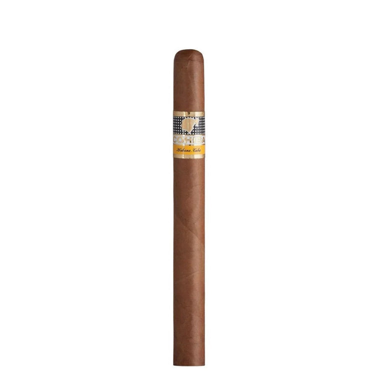 Siglo V