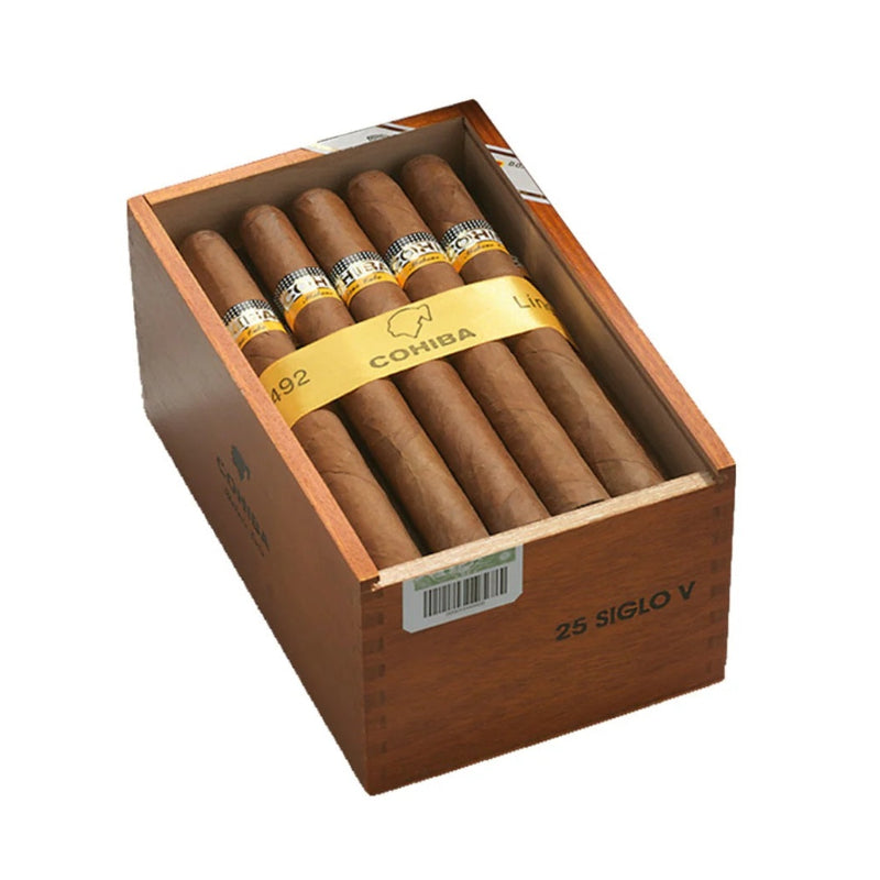 Siglo V