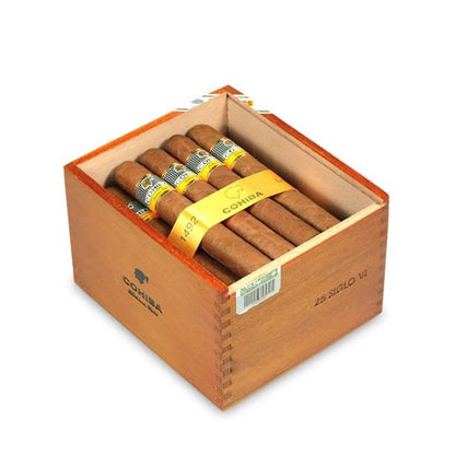 Siglo VI