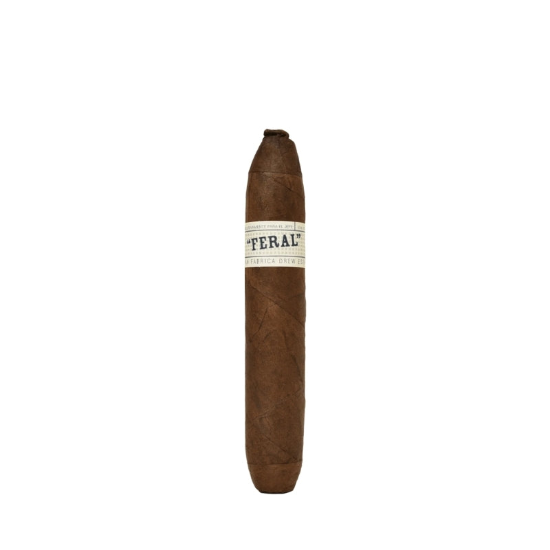 Feral Flying Pig