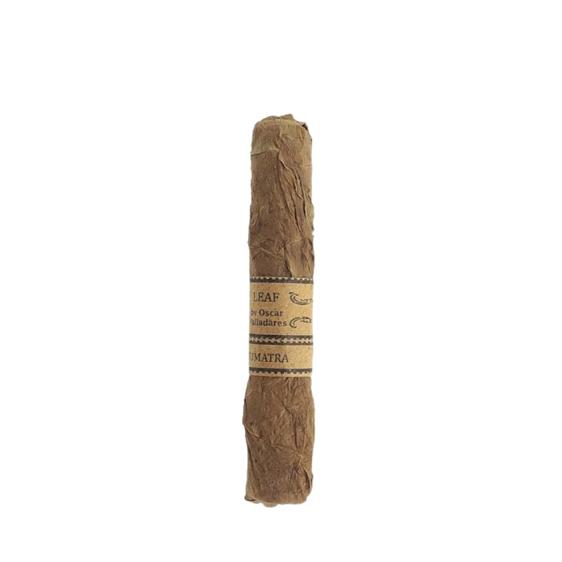 Leaf Sumatra Robusto