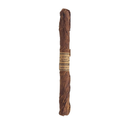 Leaf Connecticut Lancero
