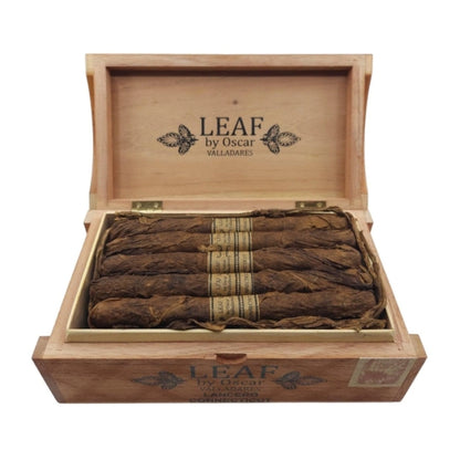 Leaf Connecticut Lancero