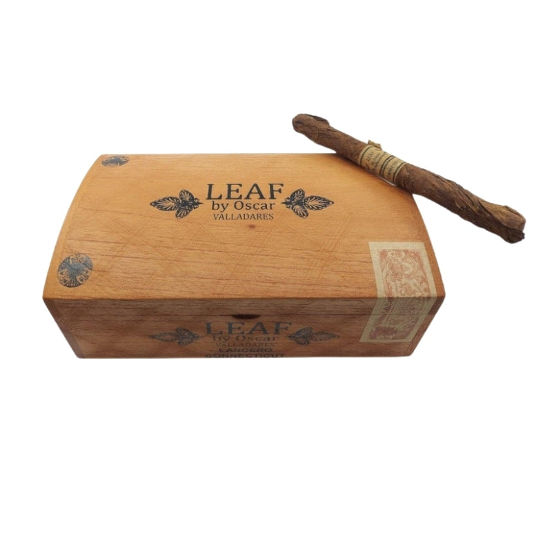 Leaf Connecticut Lancero
