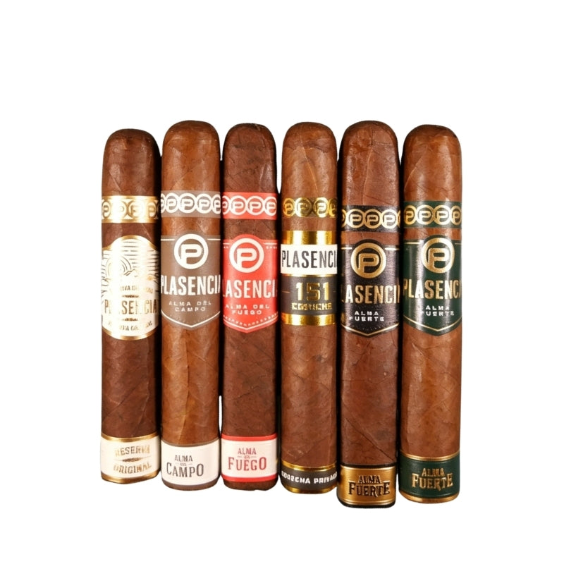 Robusto Collection 6-Cigar Sampler