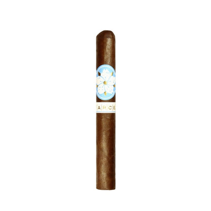 Farce Nicaragua Toro