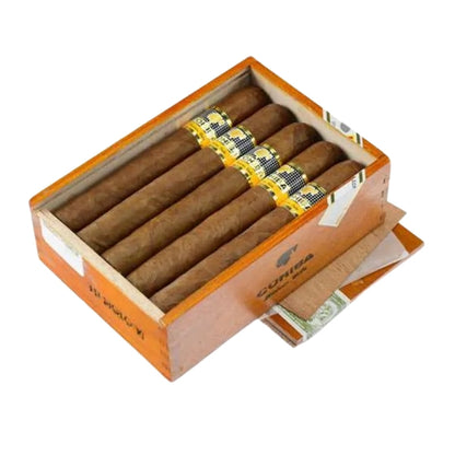 Siglo VI