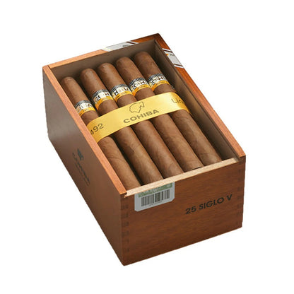 Siglo V