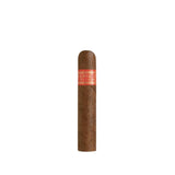 Serie D No.5